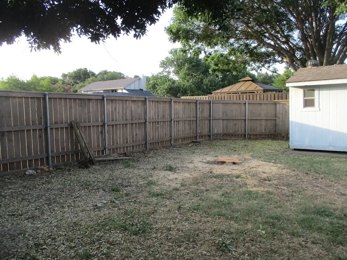 Cleared yard after professional tree removal in Toccoa Falls